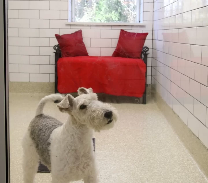 165A0295-30c0c1c8-cba33f54-2880w