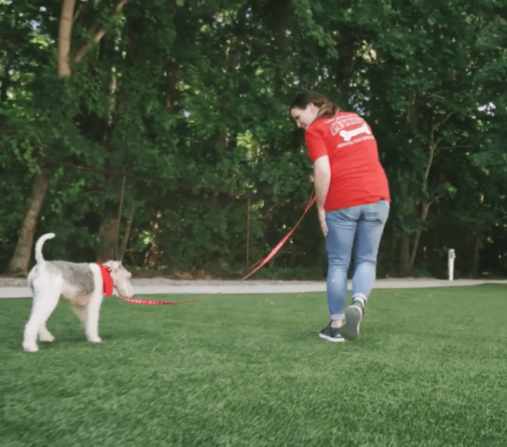 Screen_Shot_2022-07-26_at_10.16.51_PM-2880w