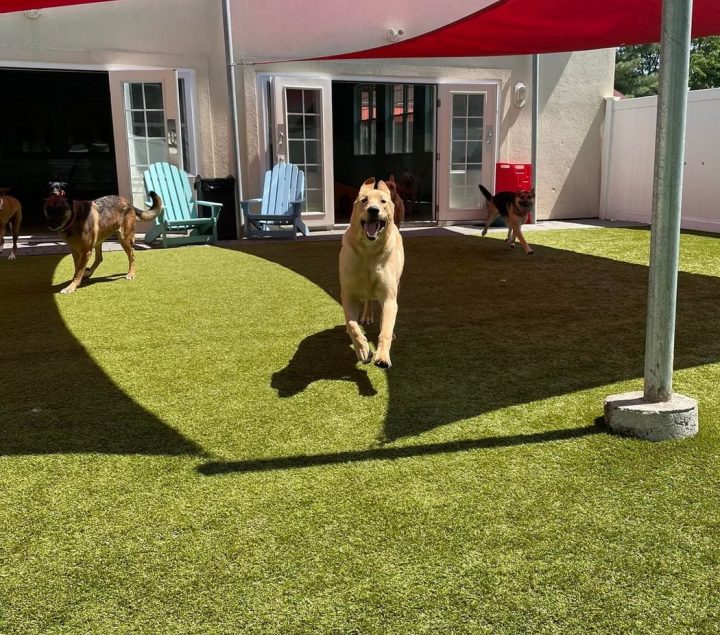 play_3-43211888-1047w